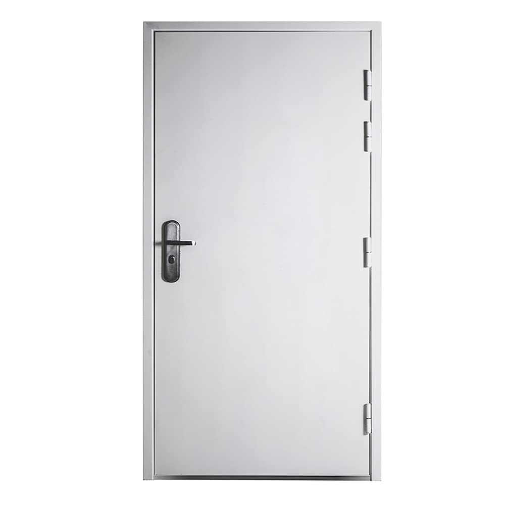 VIZ-PRO Quick Mount Steel Security Door with Frame and Hardware, Flat White