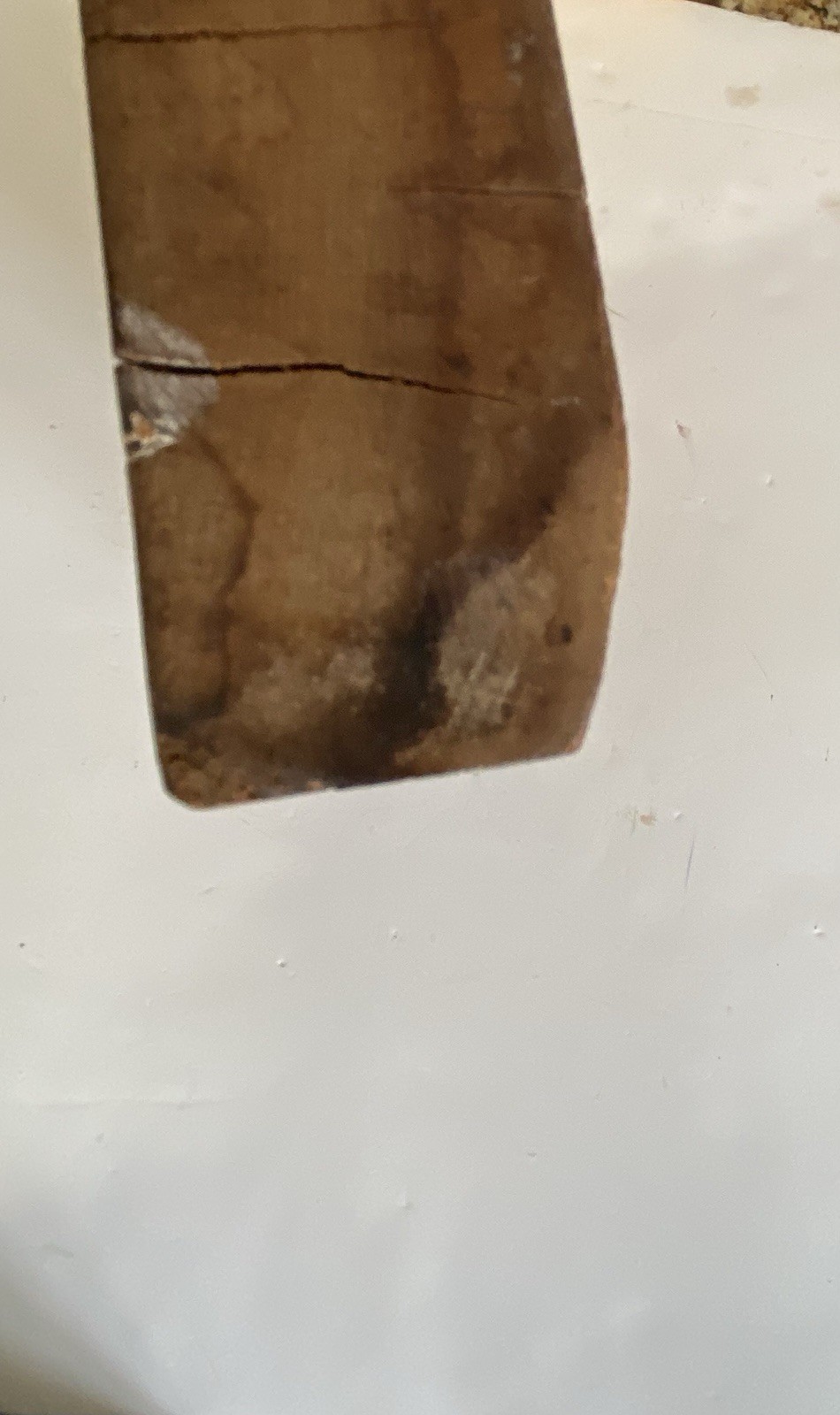 Antique Plaster Cast Pattern Wood Mold Block Architectural Salvage Flowers