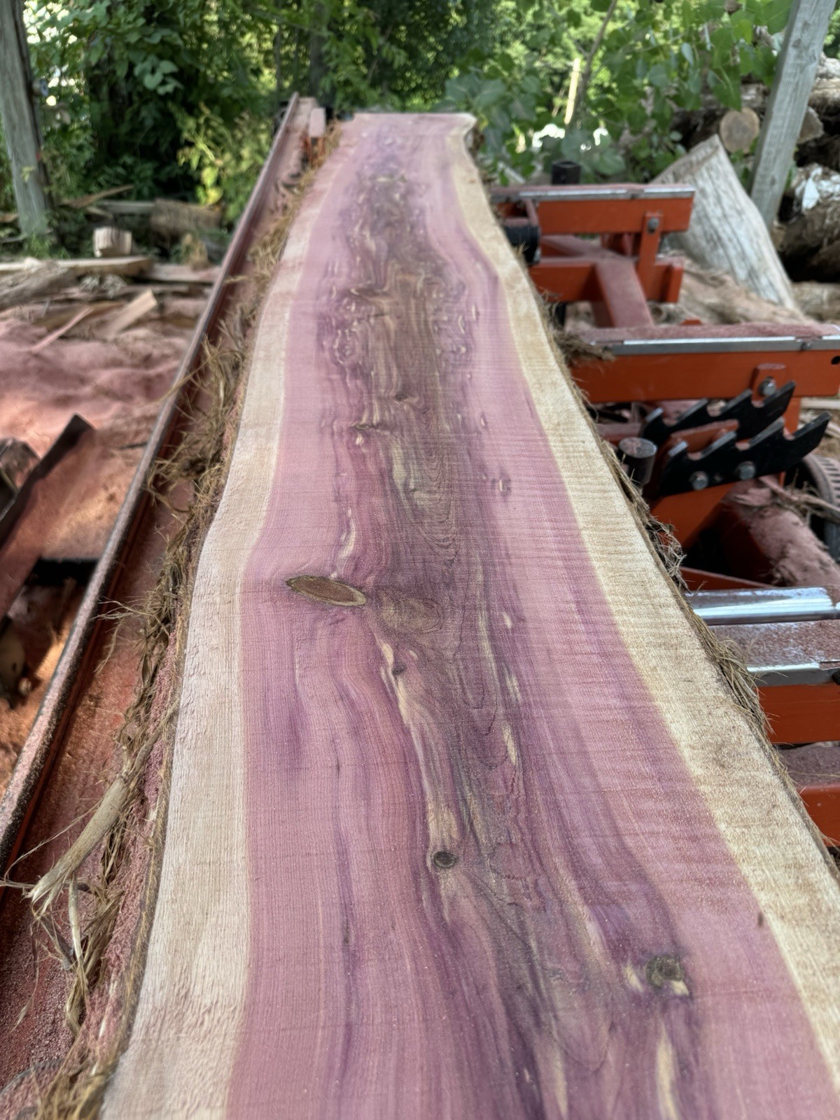 🔥 Stunning Live Edge Eastern Red Cedar – Kiln-Dried & Ready to Go!