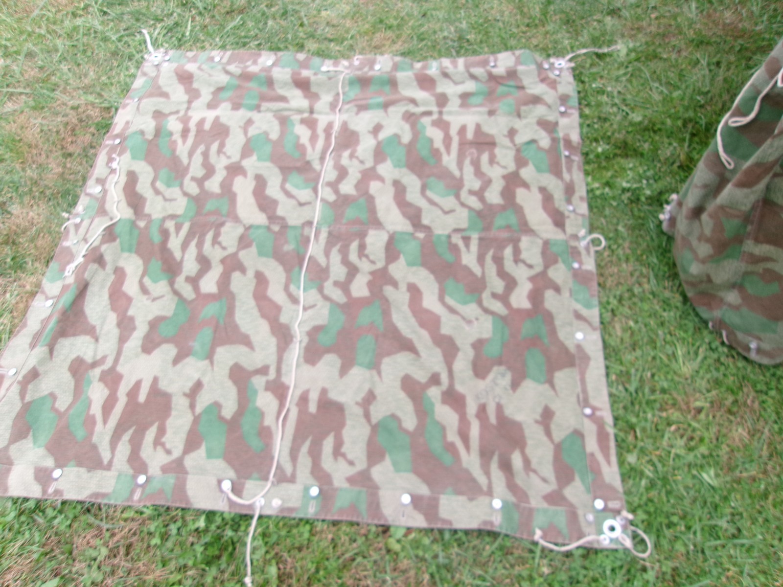 WW2 Swiss M31 Splittertarnmuster Tent - 2 Halves, Poles and Stakes