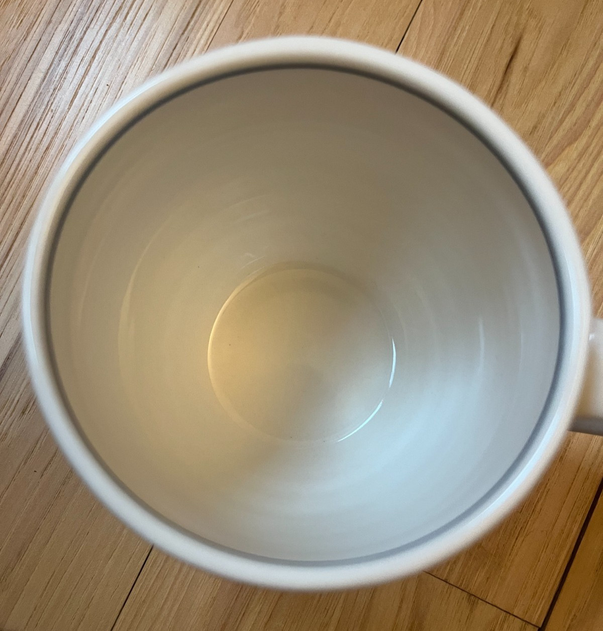 Molly Hatch Anthropologie Dachshund 14oz Coffee Mug Blue Cream Hand Painted