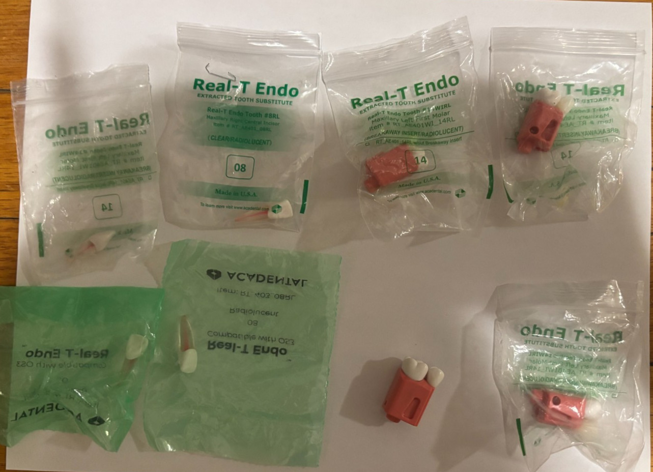 CDCA ADEX Endo Practice Teeth, Acadental Real-T Endo Tooth #8 (5x) and # 14 (4x)
