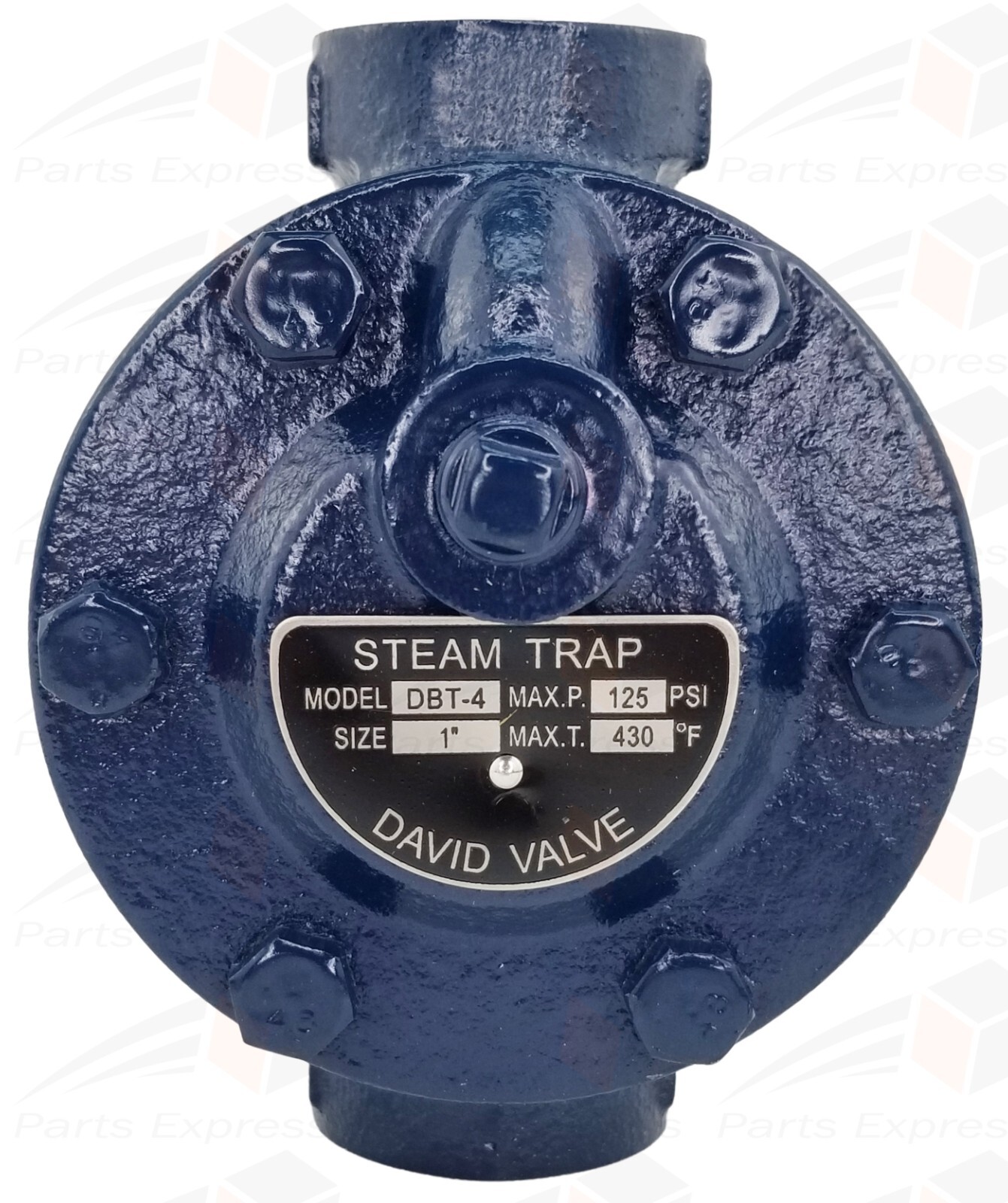 1" DAVID™ Inverted Bucket Steam Trap w/Built-In Strainer & Drain (Max 125 psi)