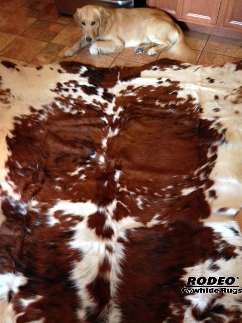 Premium quality rodeo cowhide rug Classic Tricolor large size Approx 6x6-5x7 ft