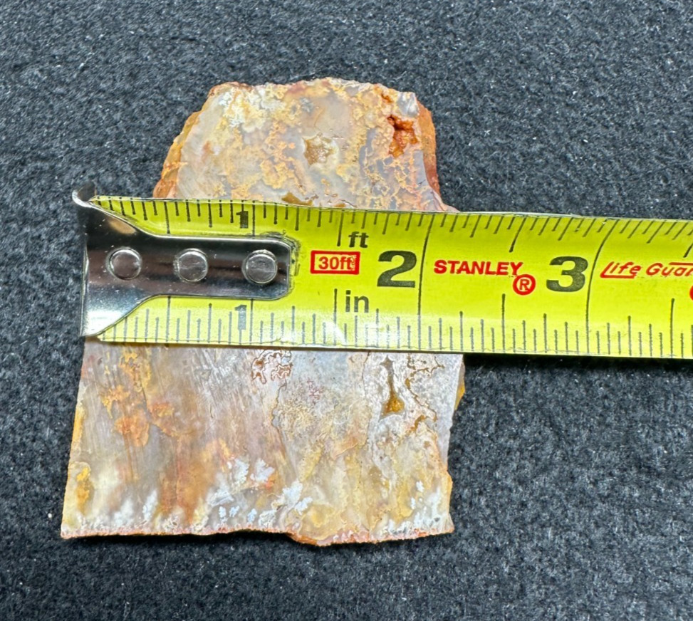 Graveyard Point Plume Agate slab, great for cabbing 2.11oz (#1048)