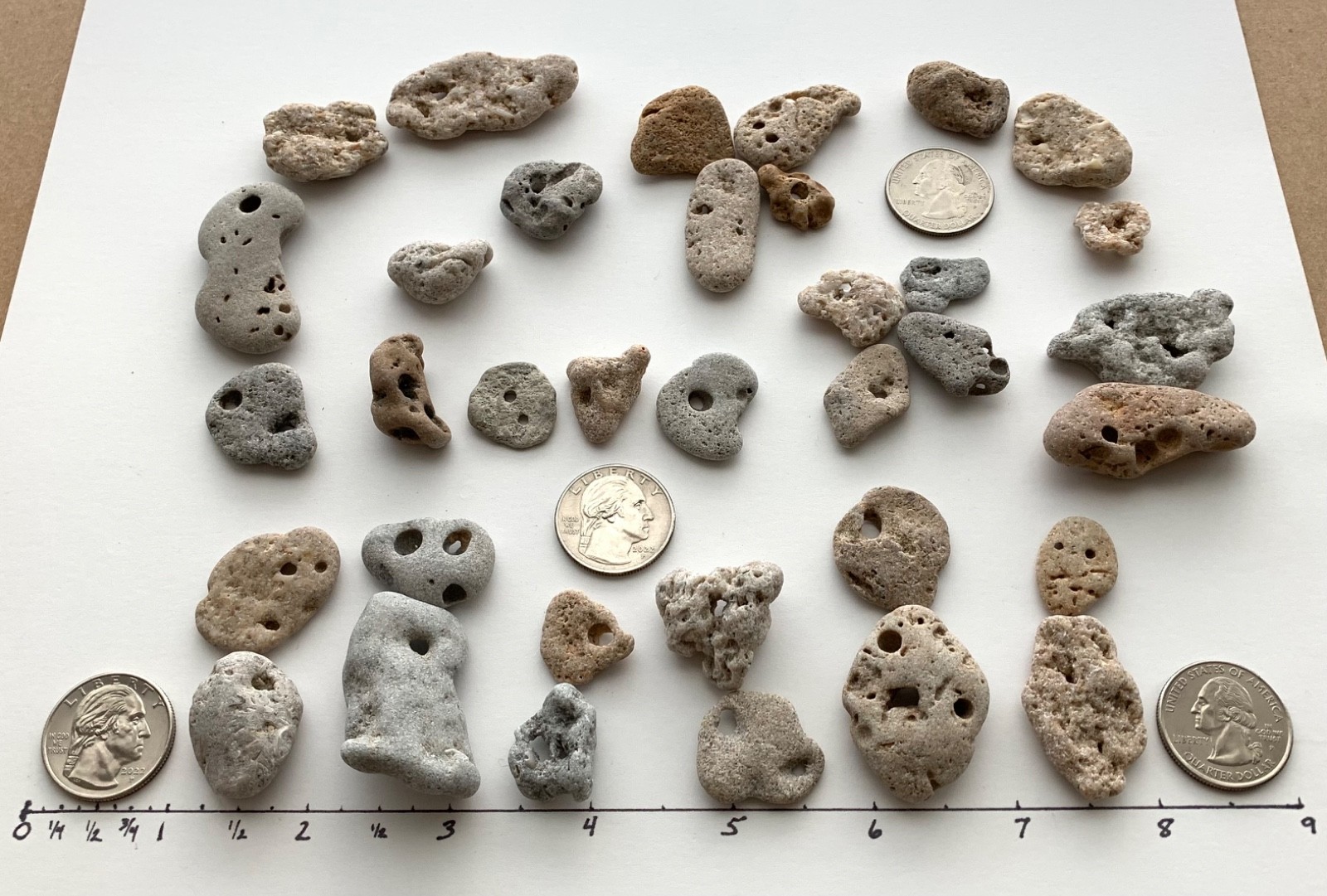 35 Adder Holey Beach Rocks Hag Stones Fairy Lucky Wish Magic Natural 1" #B1 US❤️