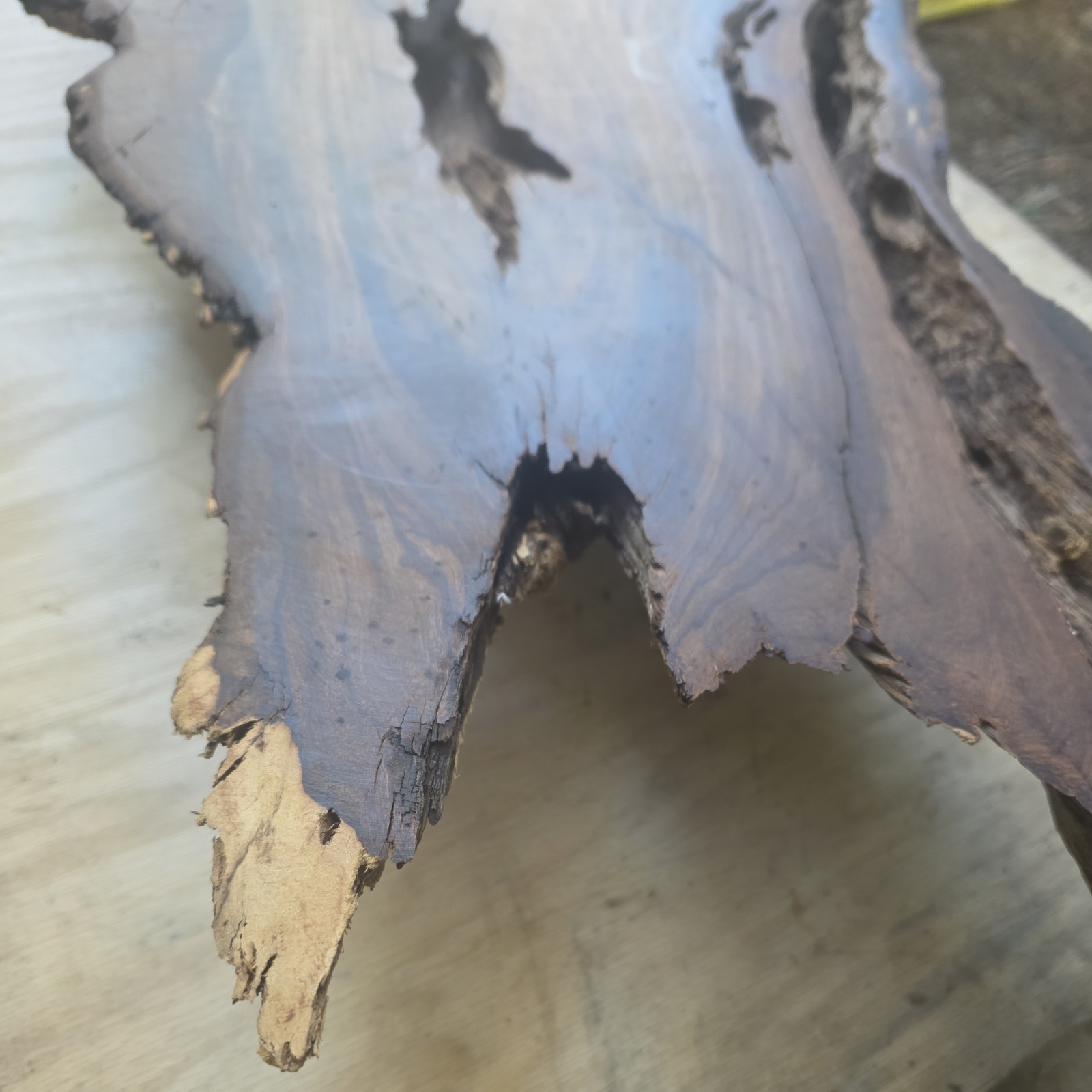 Desert Ironwood Live Edge Slab Epoxy Resin River Table Woodworking Art Mill Log