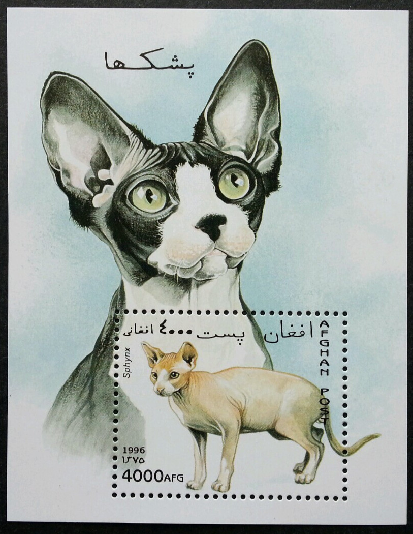 Afghanistan 1996 Sphynx CAT Mint Never Hinged souvenir Sheet