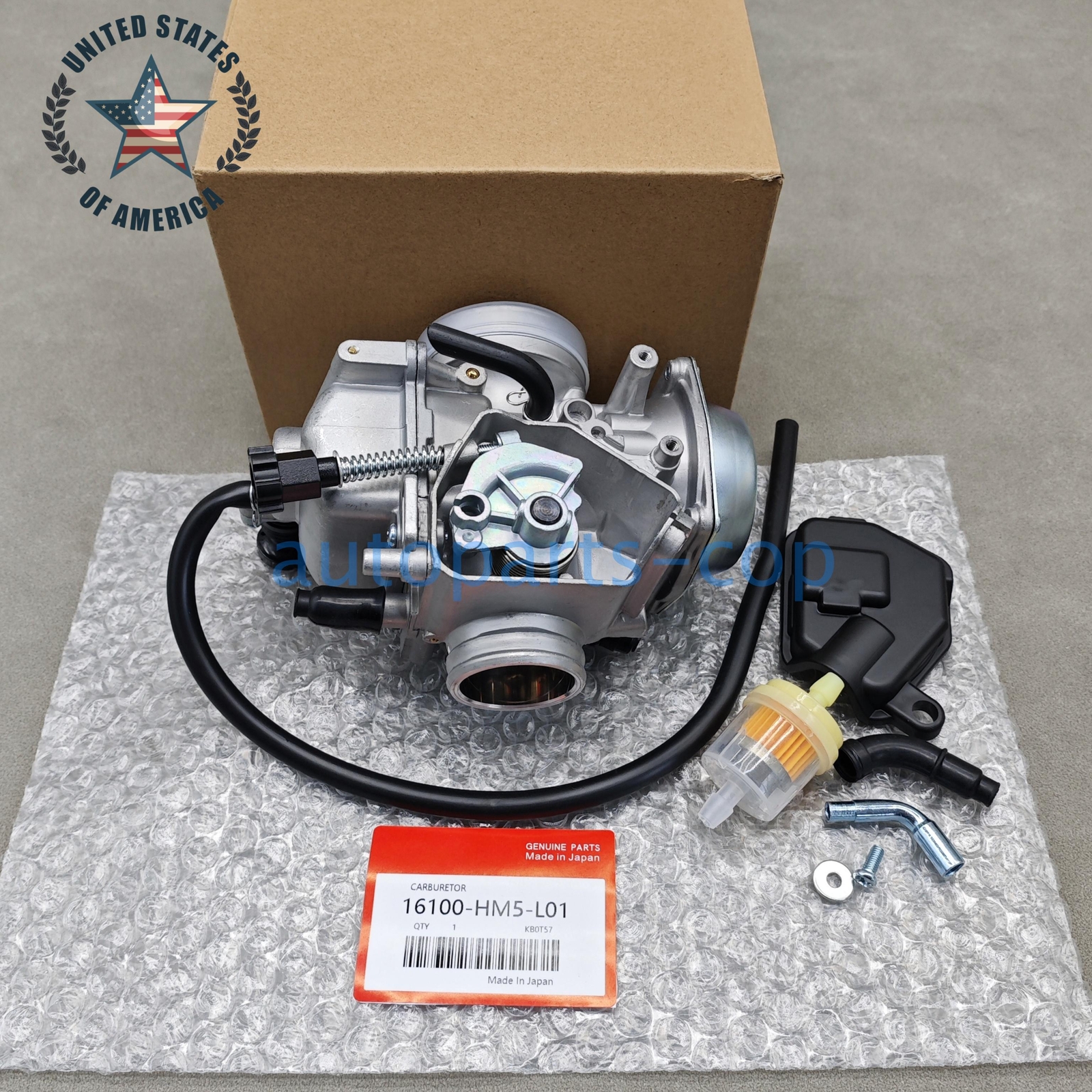 OEM Carburetor Fits For Honda 1988-2000 Fourtrax 300 TRX300 16100-HM5-L01 US