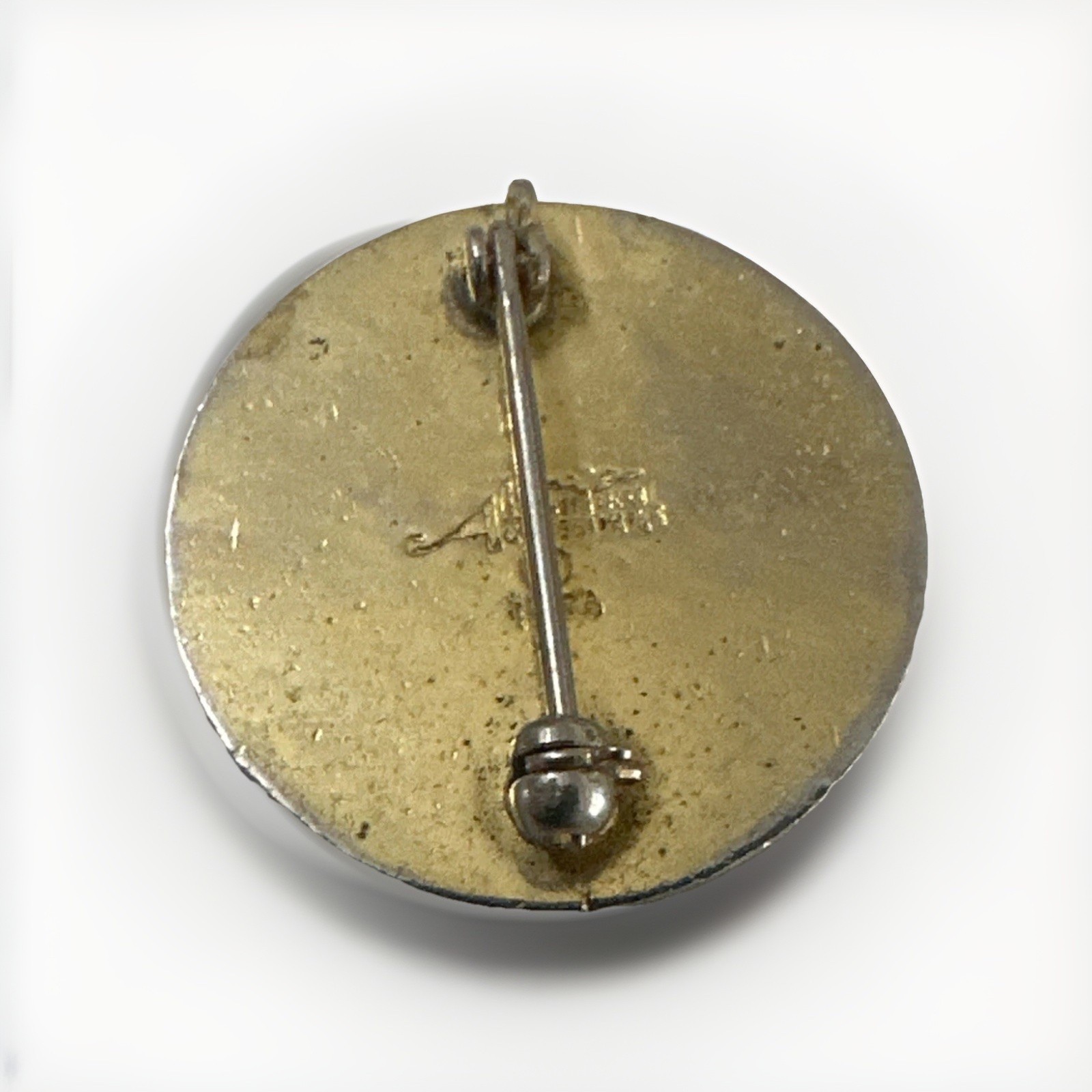 Vtg Licensed Practical Nurse Lapel Pin Badge Enamel Uniform Accessories 1974