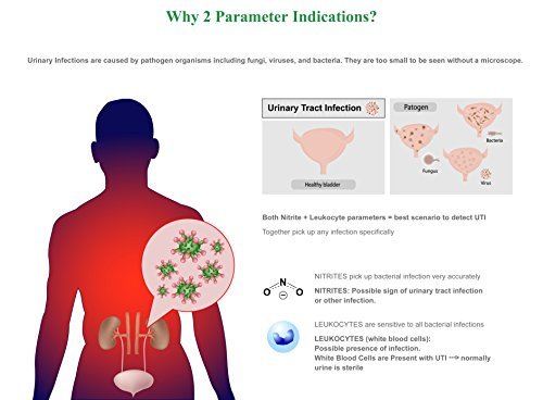 Easy@Home Urinary Tract Infection Tests (UTI test strips),10 individual pack