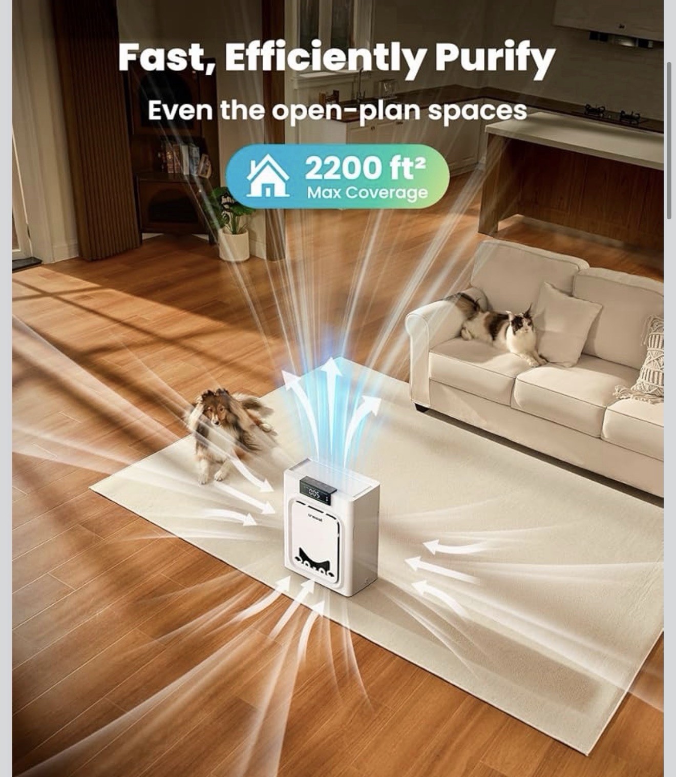 oneisall Air Purifiers for Home Pets with Double-Sided HEPA Washable Filters,...