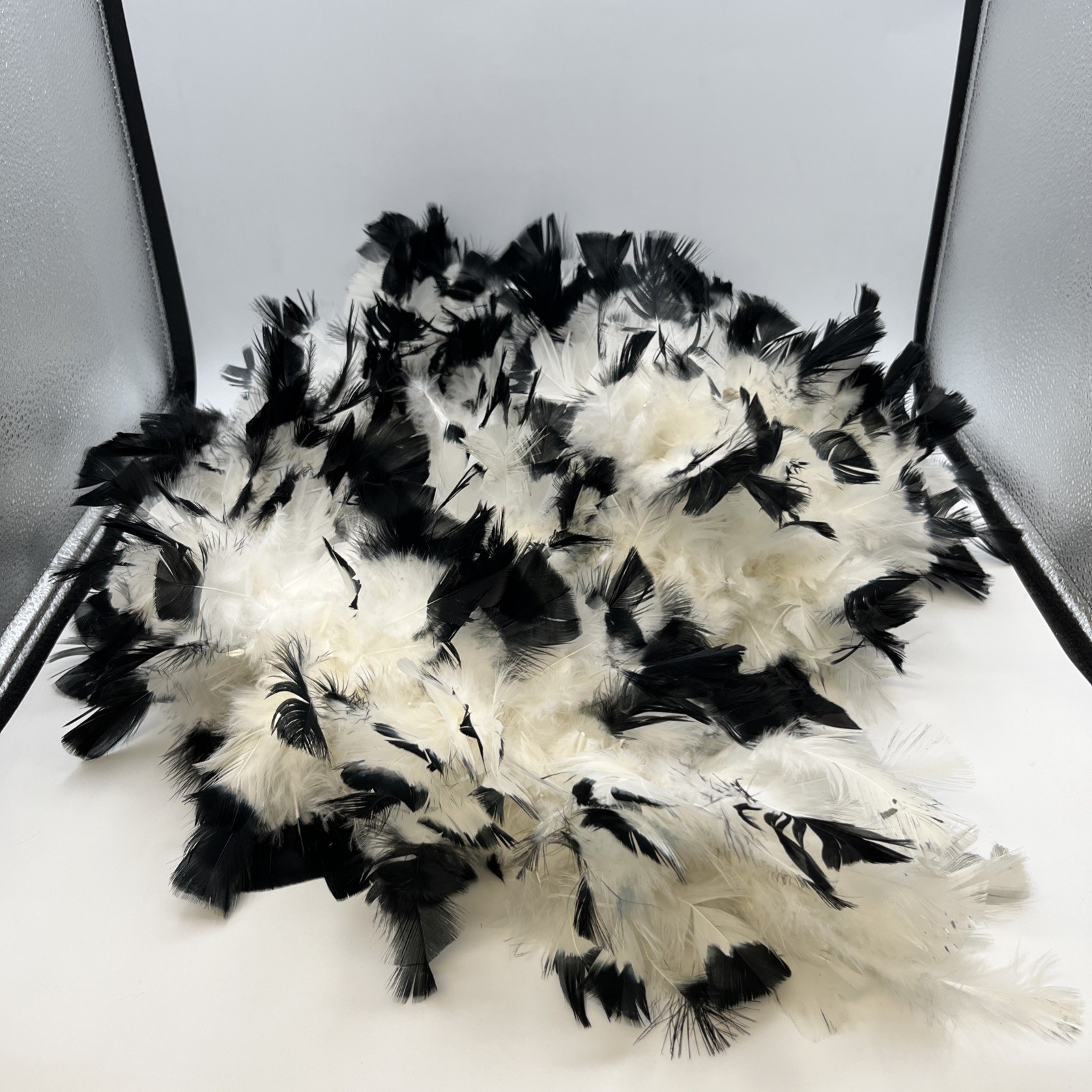 Black tipped White chandelle feather boa 72” D0123302