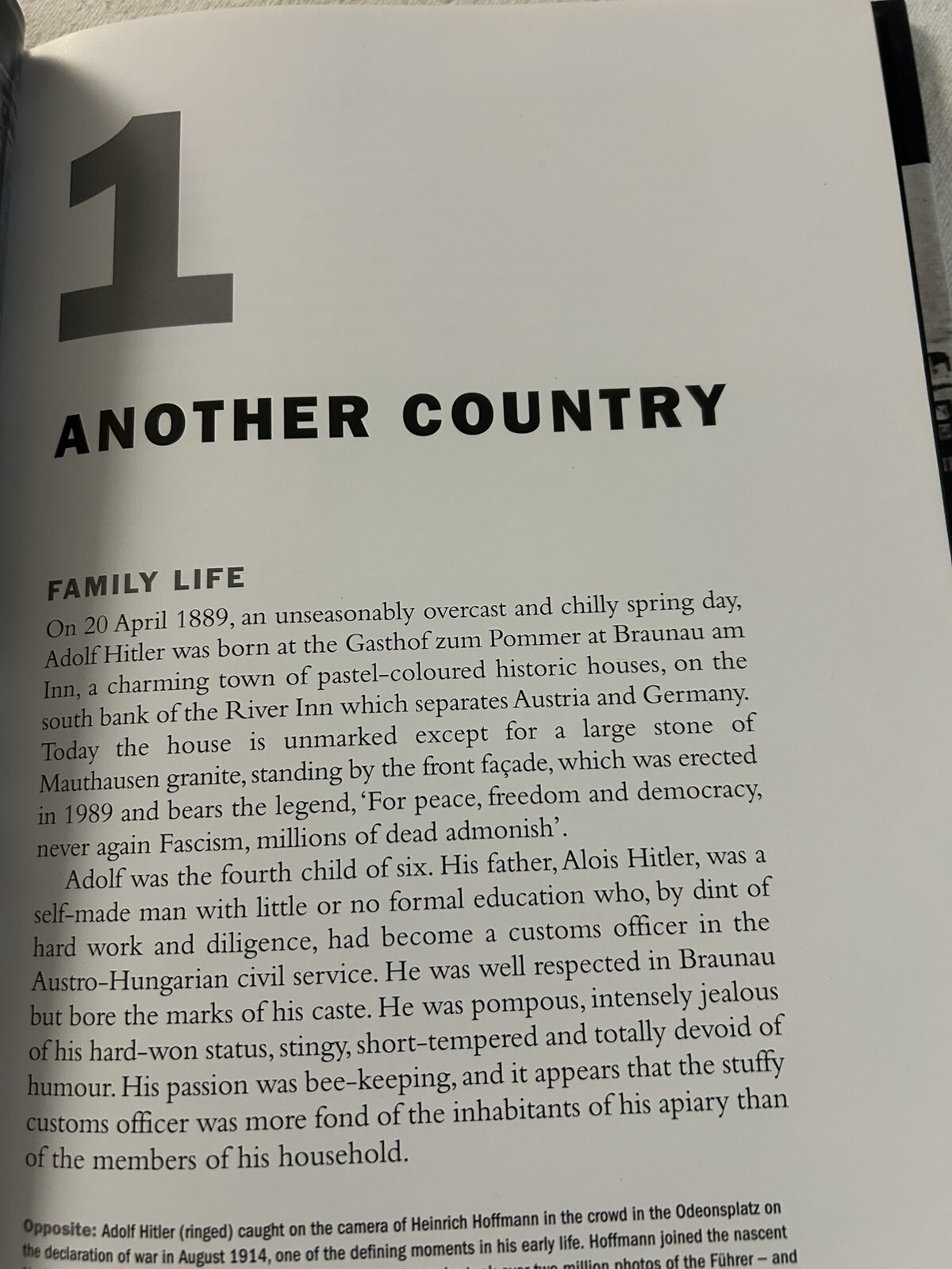 HITLER An Illustrated Life by Robin Cross - 2009 Hardcover w/DJ - WWII Book L3