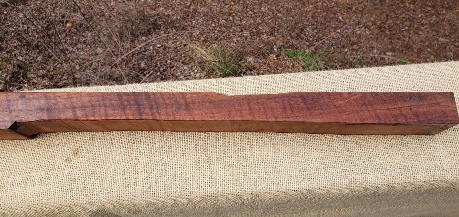 🔥 HIGHLY FIGURED CURLY TIGER CLARO WALNUT MUZZLELOADER RIFLE HAWKEN STOCK Blank