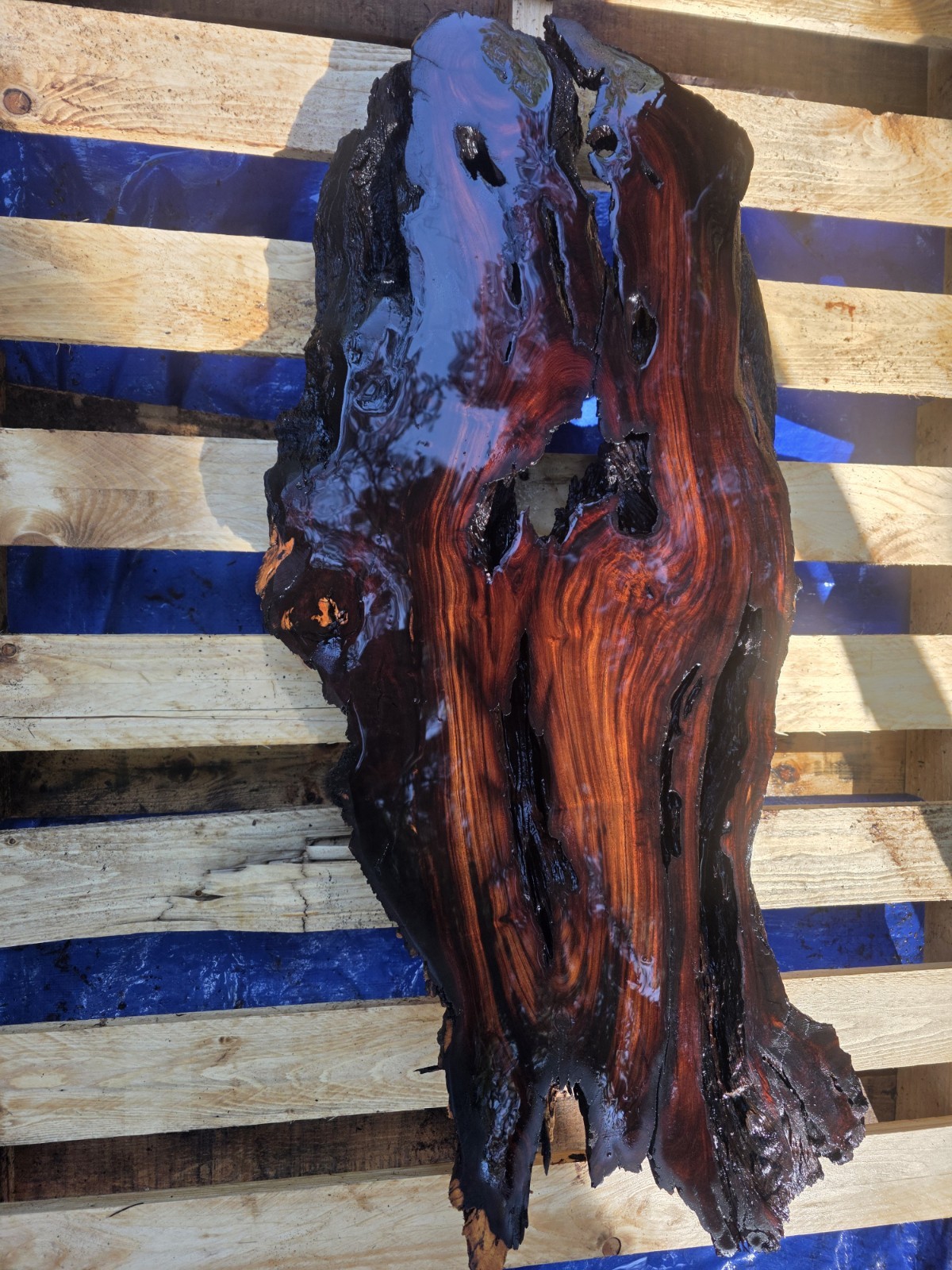 Desert Ironwood Live Edge Slab Epoxy Resin River Table Woodworking Art Mill Log