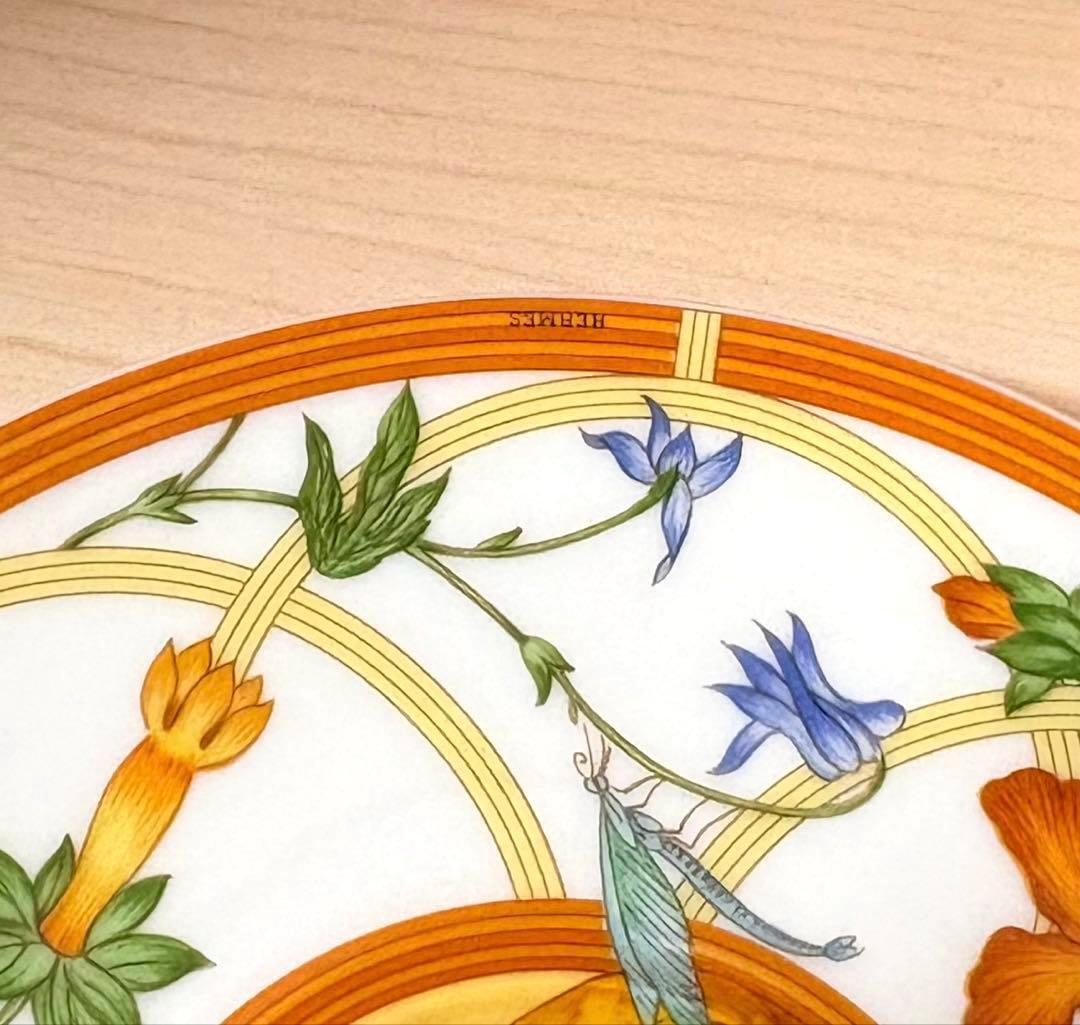 Hermes Siesta Teacup & Saucer Brand New Unused with Original Box Included