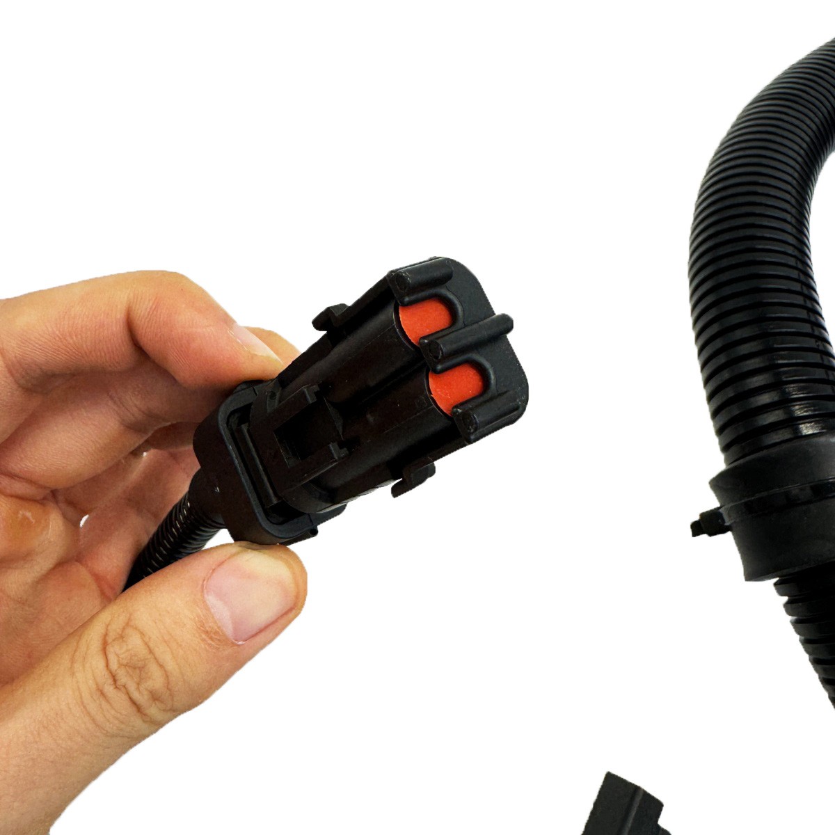 NEW 4943176 3976494 Electronic Control Module Harness For Cummins ISC QSL QSC8.3