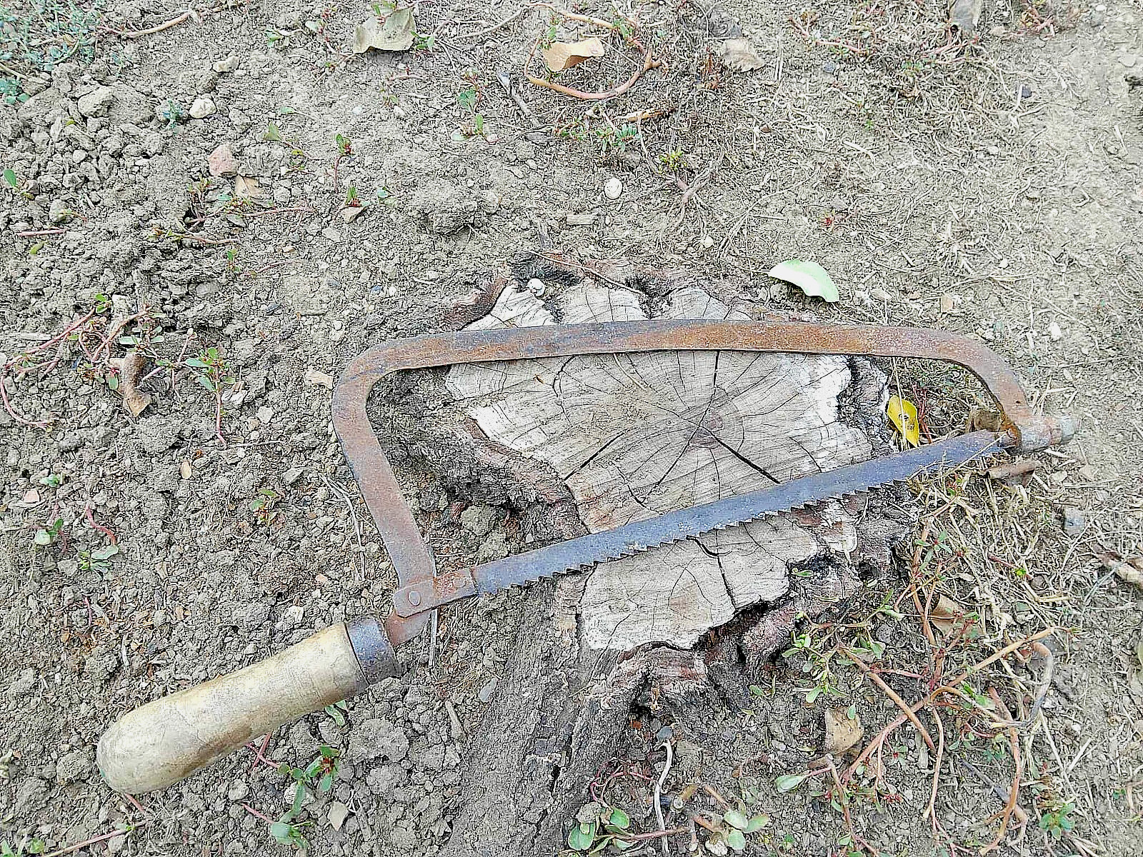 ANTIQUE BONE SAW WW1 SURGICAL AMPUTATION TOOL COLLECTIBLE HOME DECORATION