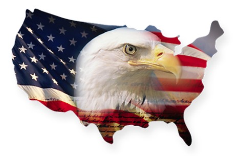 HCS AMG .072" Pro Copper/Carbon Motor Brushes for T-Jet, AFX, Magna-Traction