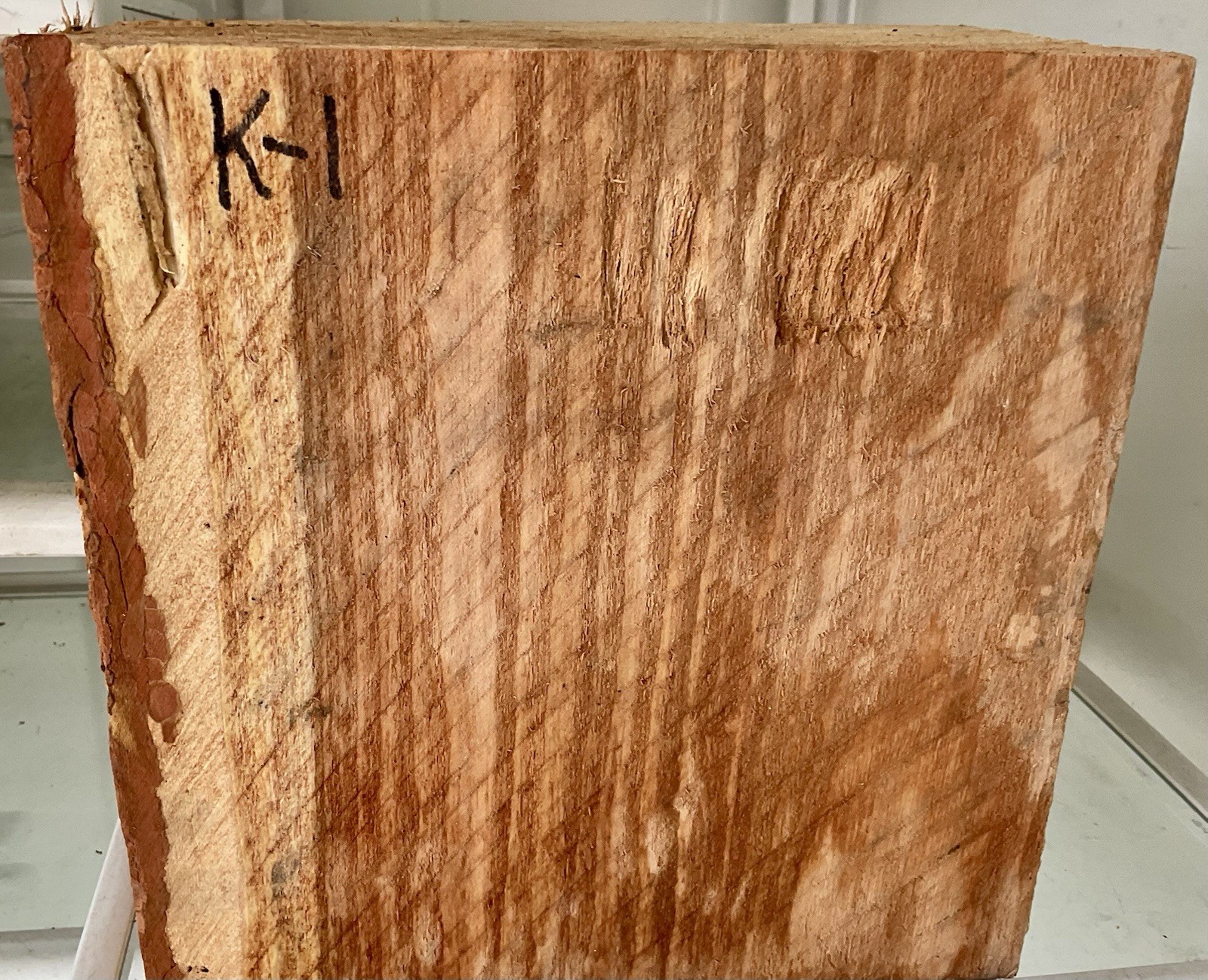 Kentucky coffee Bean fresh cut green Bowl Blank  1-pcs. 4 1/4”x8 1/2”x9” K-1