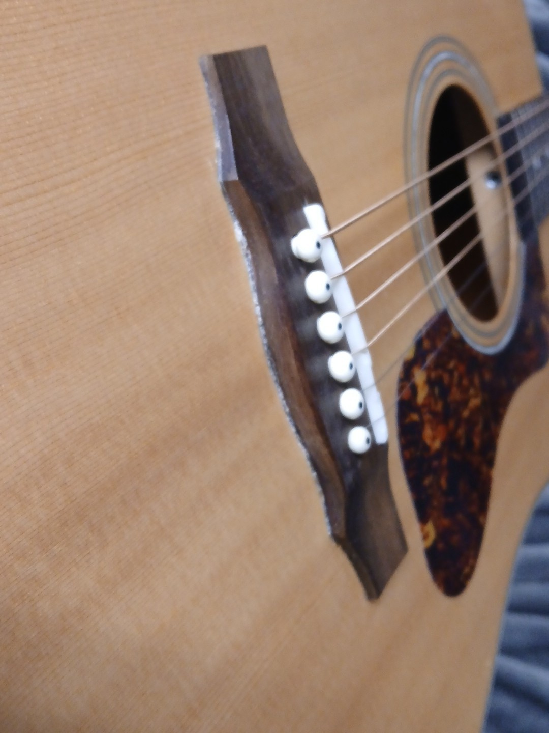 Guild D-240E Limited Acoustic Electric Guitar Project