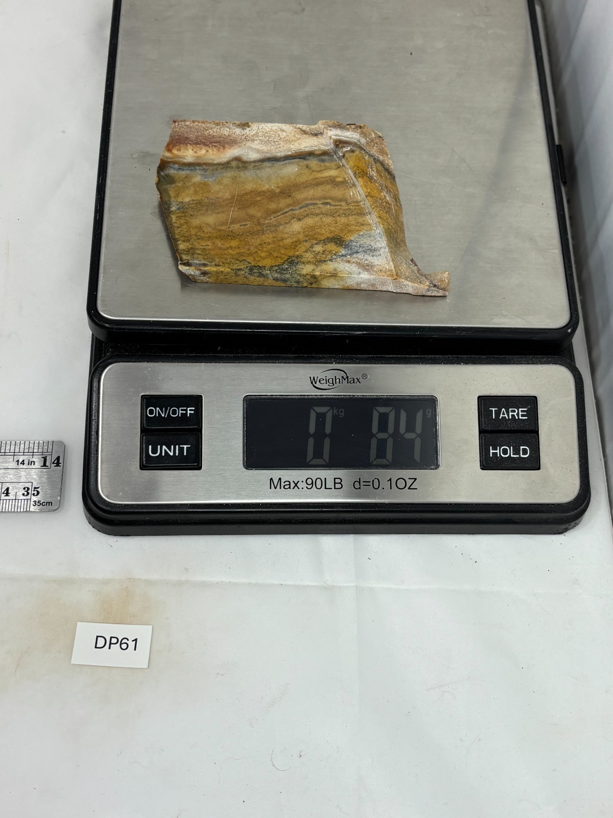 Disaster Peak Picture Jasper Slab Cabbing Lapidary Collecting Combo Ship Avail