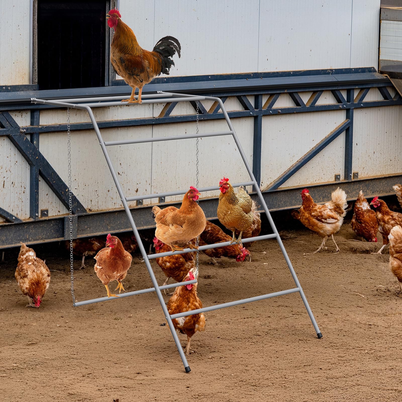 Chicken Coop Perches with Swing, Metal Chicken Roosting Bars, Chicken Run Toy...