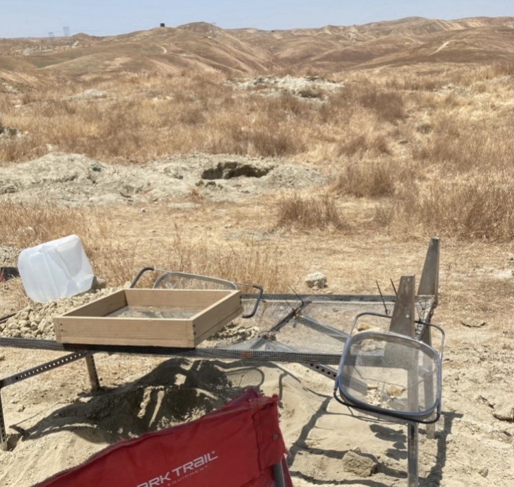 Miocene Era Micro-Fossil Gravel Bags from Sharktooth Hill: Bakersfield, Ca