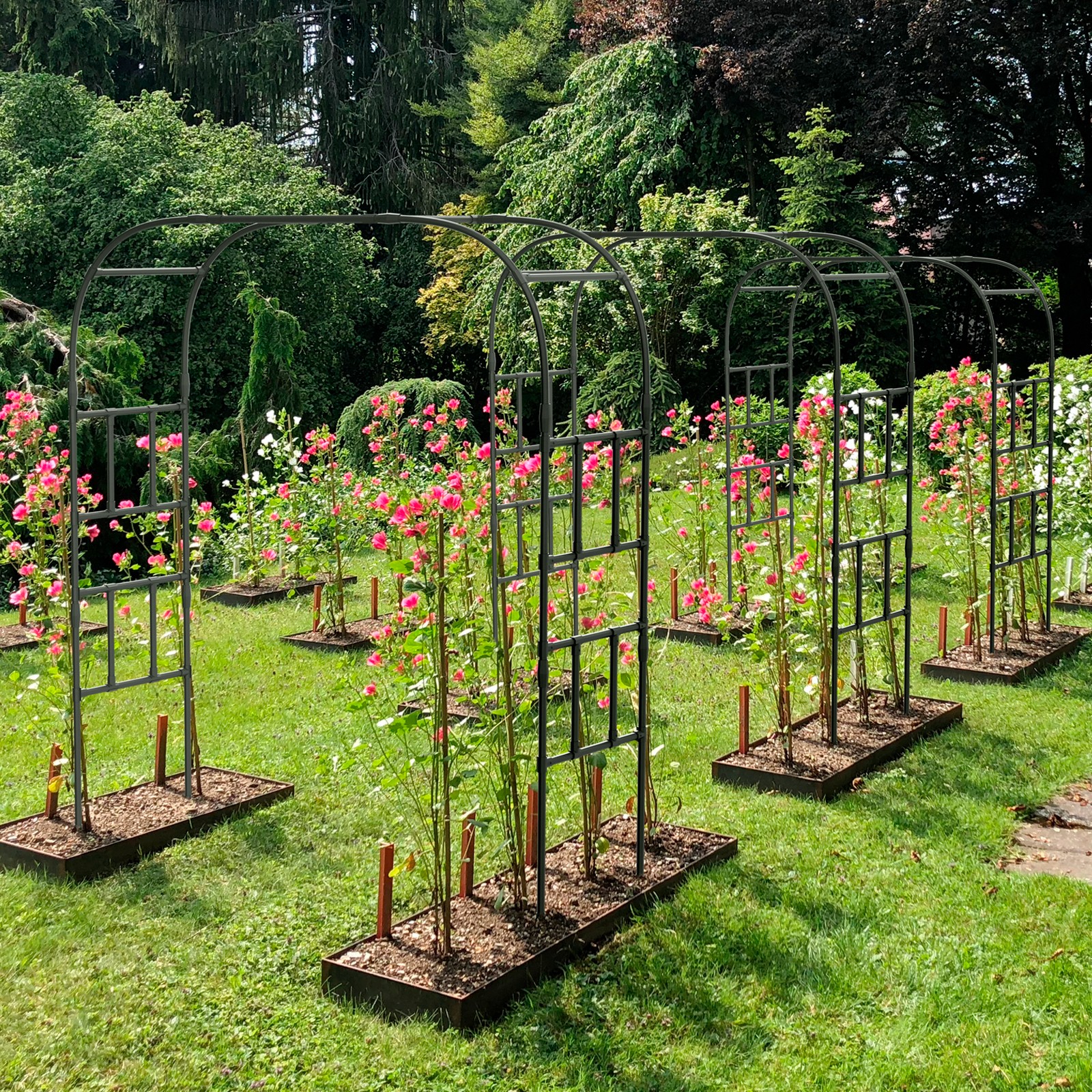 Docred Climbing Plant Trellis - Metal Garden Arch & Arbor Structure for Outdoor.