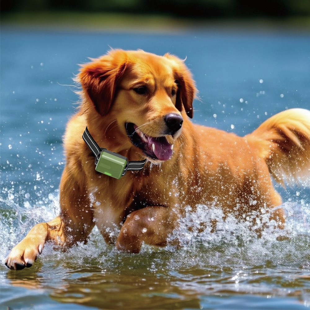 1-2 Dogs Training Collar 4500FT Remote Rechargeable Shock Dog Waterproof Trainer