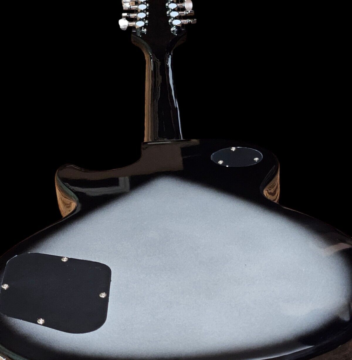 NEW 12 STRING ADAM JONES LP STYLE SILVER BURST SOLID MAHOGANY ELECTRIC GUITAR