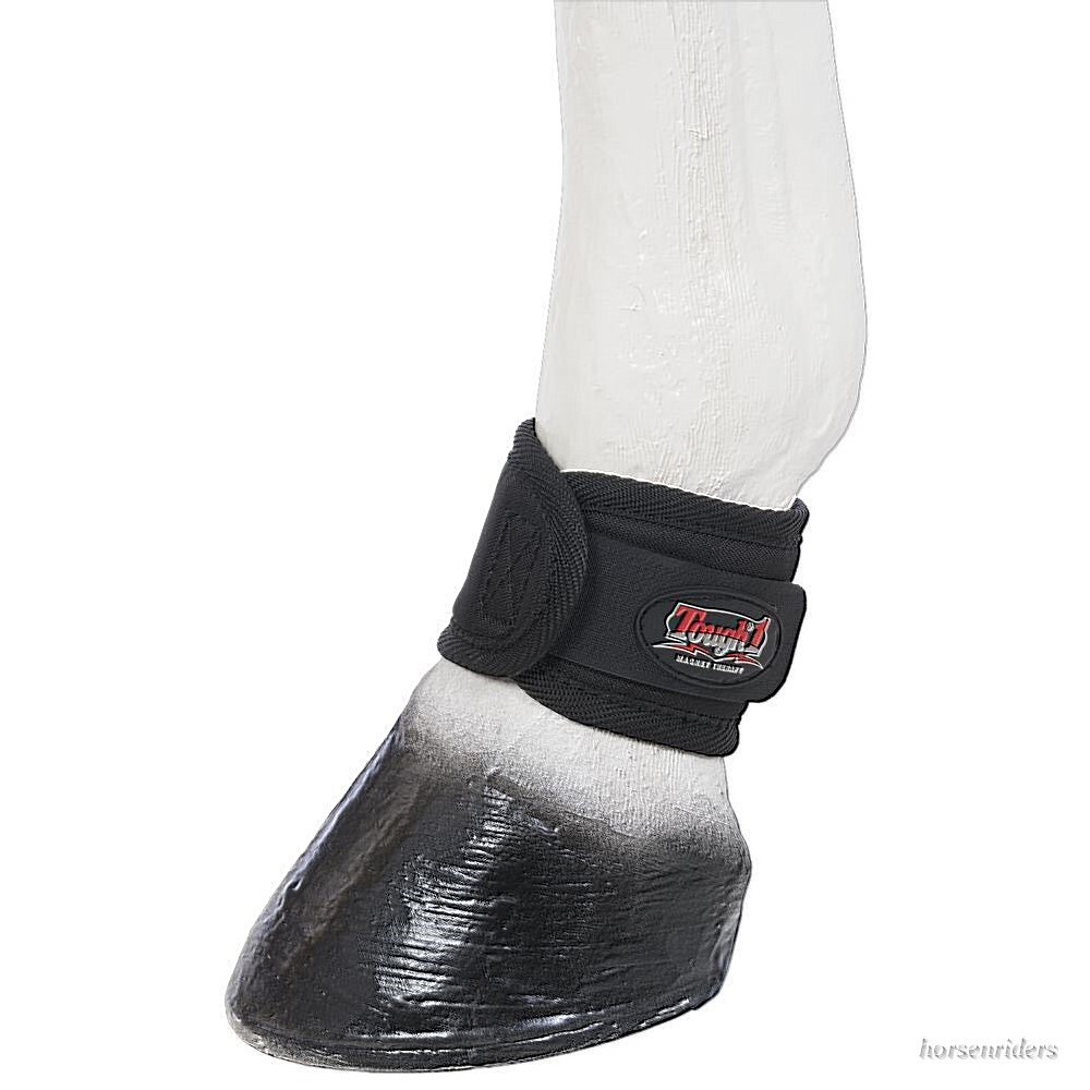 Horse Magnetic Therapy - Healing Ankle Wraps