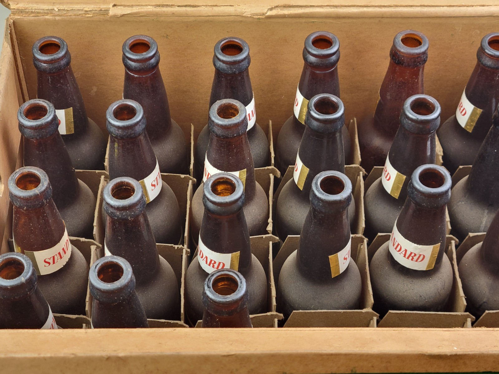 Standard Brewing Cleveland, OH Erin Brew Cardboard Beer Carrier Box w/ Bottles