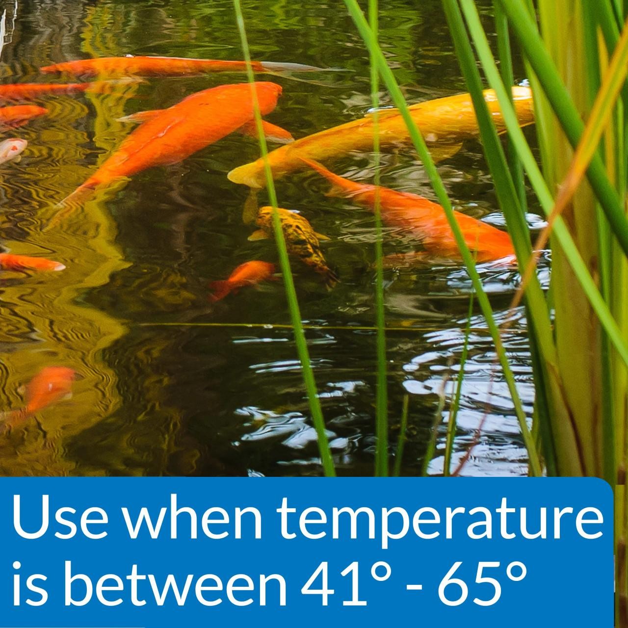 API Cool Water Pond Fish Food 1.40 lb. Bag 197D