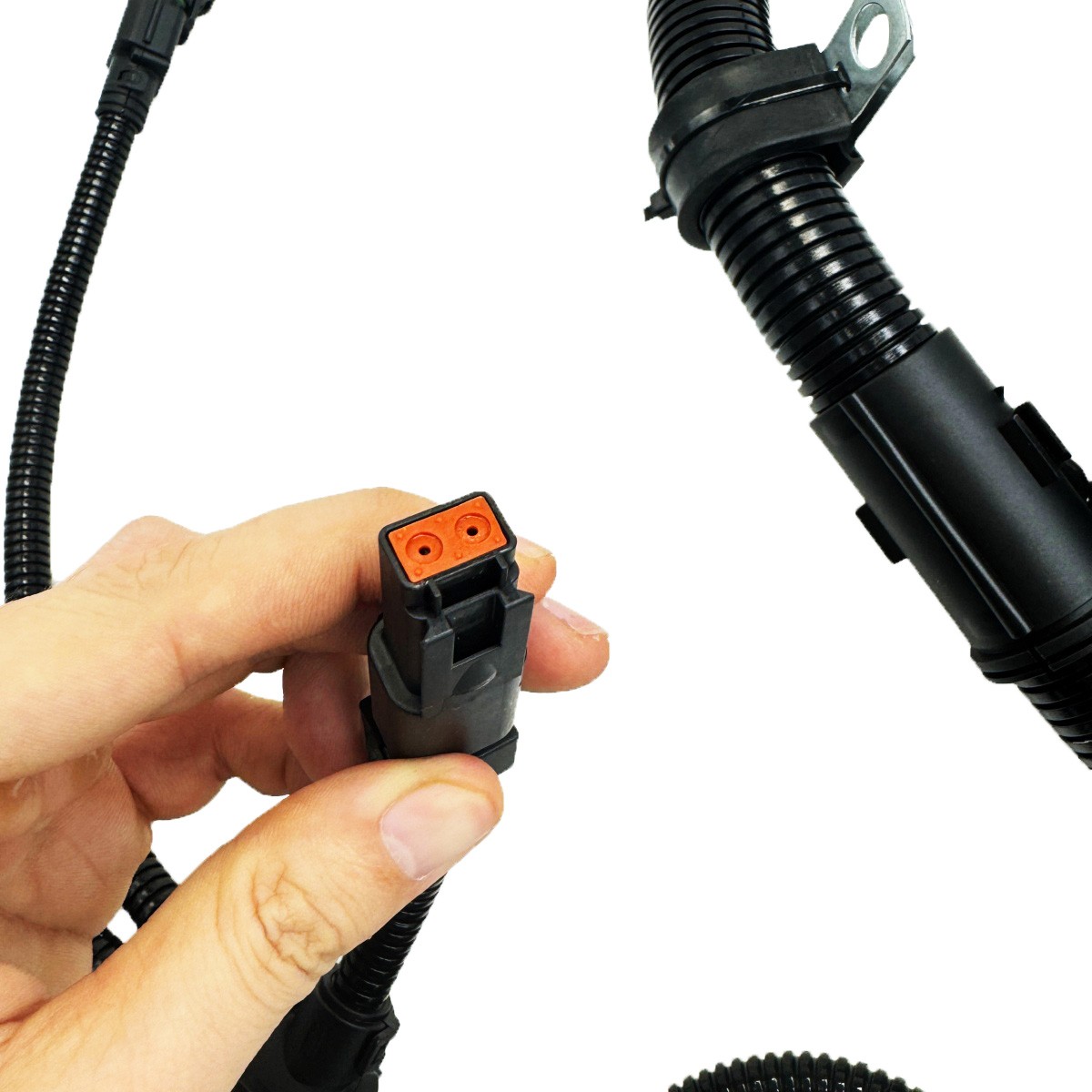 NEW 4943176 3976494 Electronic Control Module Harness For Cummins ISC QSL QSC8.3