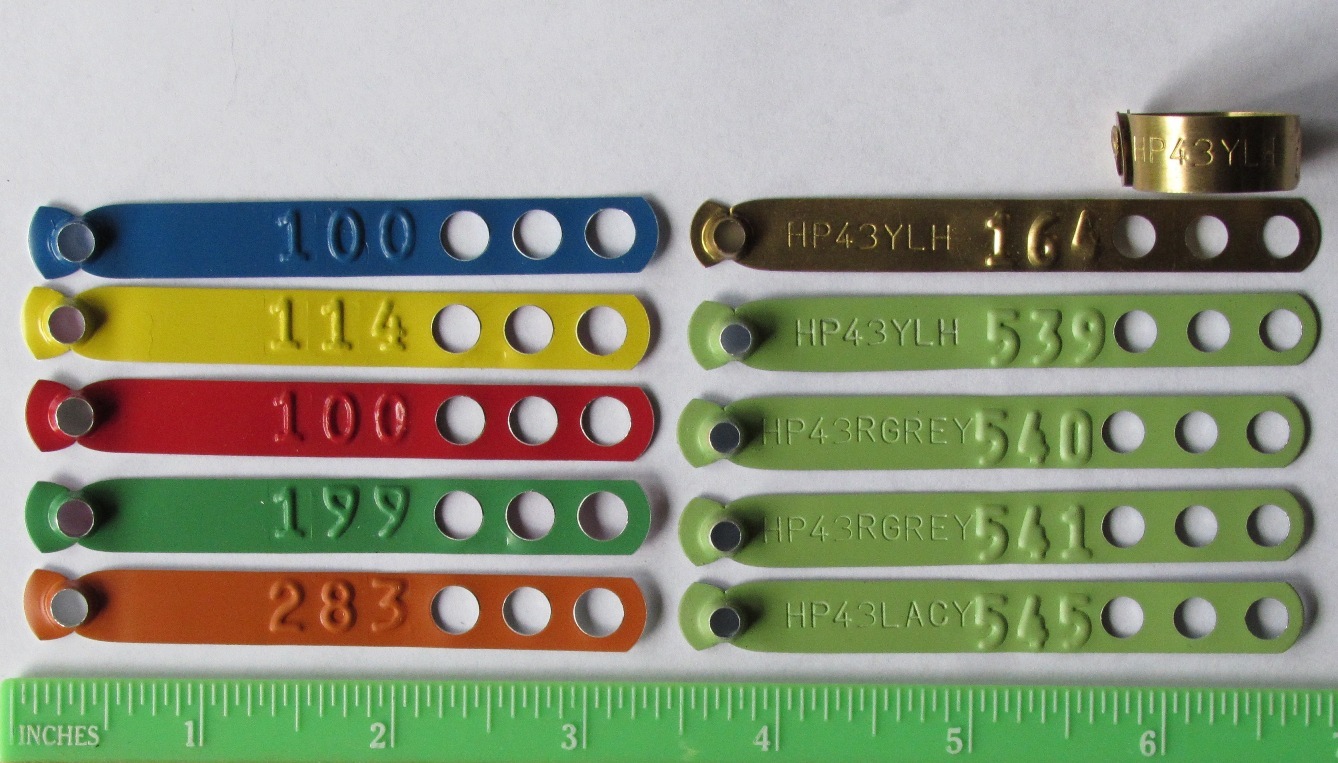 Leg Band Application Pliers (1pc) for Chicken Poultry Identification Leg Rings