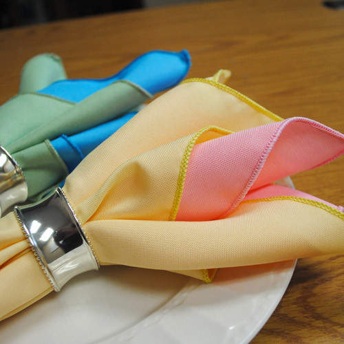 SimplyPoly 17x17 Inch Cloth Napkins