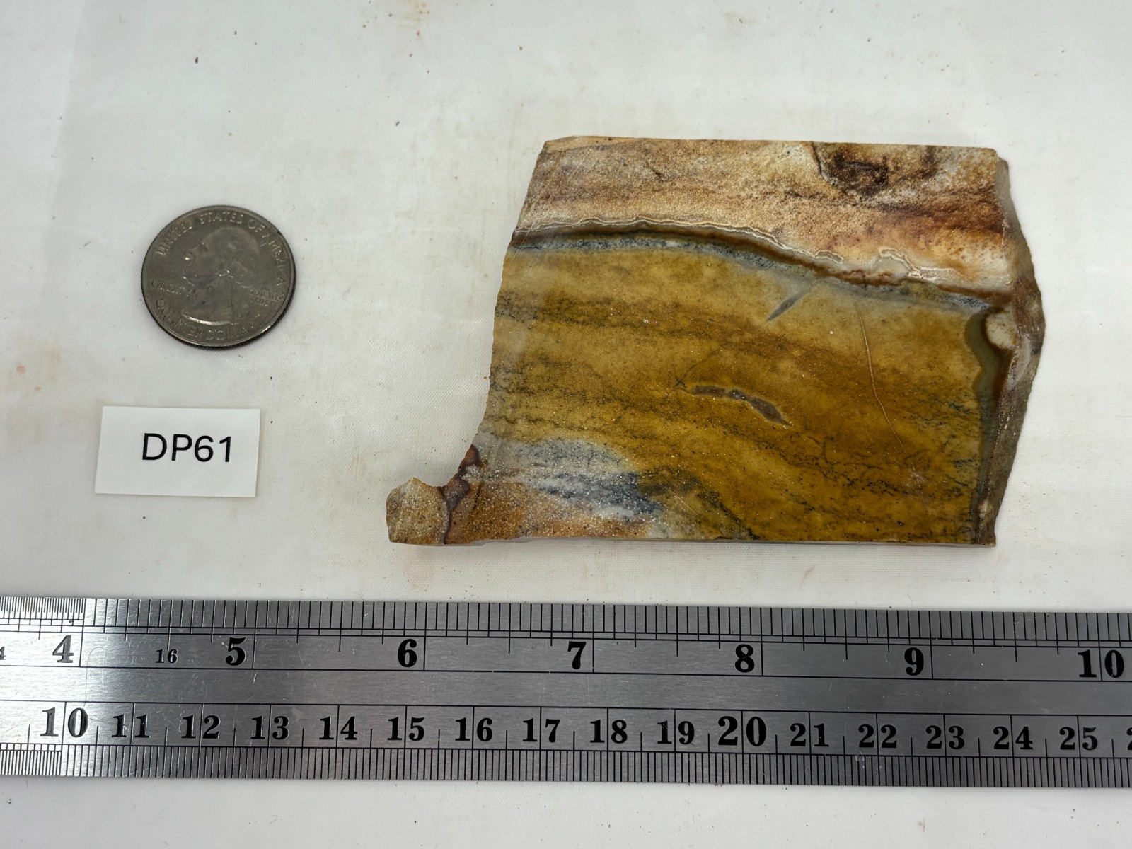 Disaster Peak Picture Jasper Slab Cabbing Lapidary Collecting Combo Ship Avail