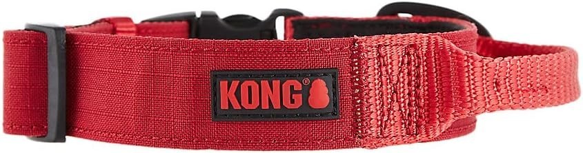Kong Dog Collar