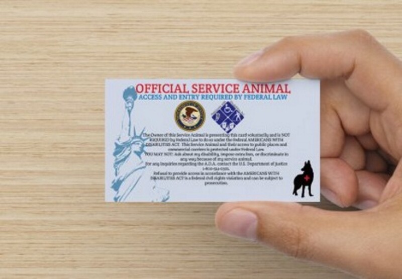 SERVICE DOG Collar Harness with Handle and Reflective Patches + 3 Free ADA Cards