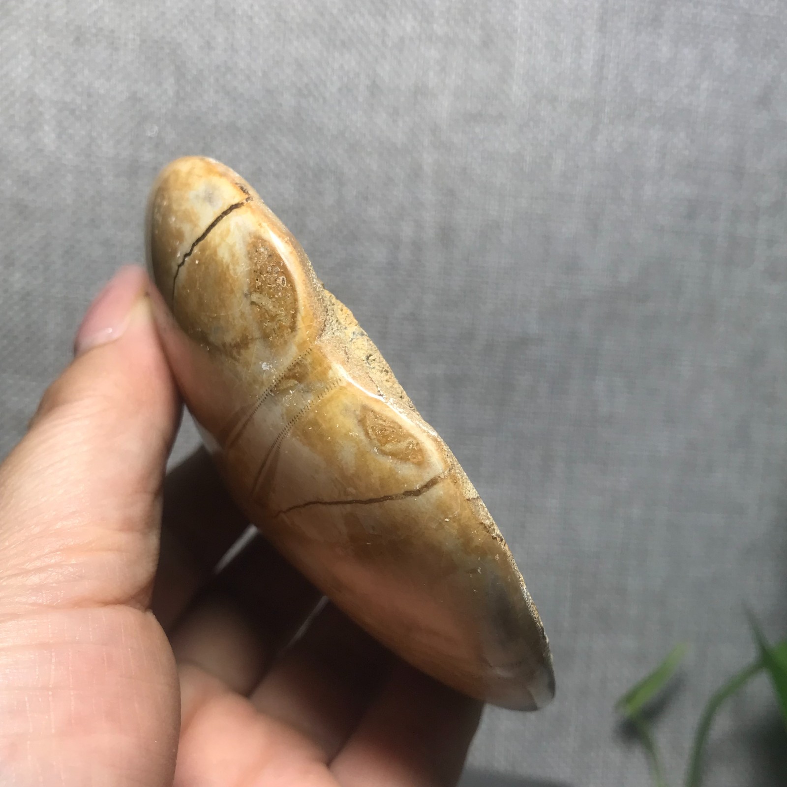 200g Starfish Crystal Specimen 13