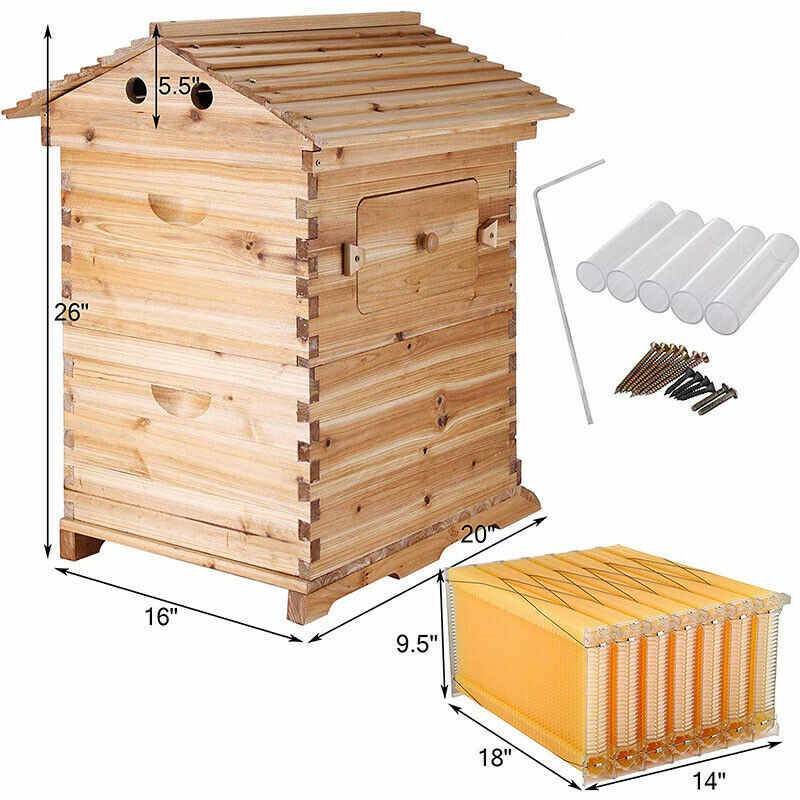 7Pcs Auto Seeping Honey Hive Beehive Frames + Beekeeping Wooden Cedarwood House
