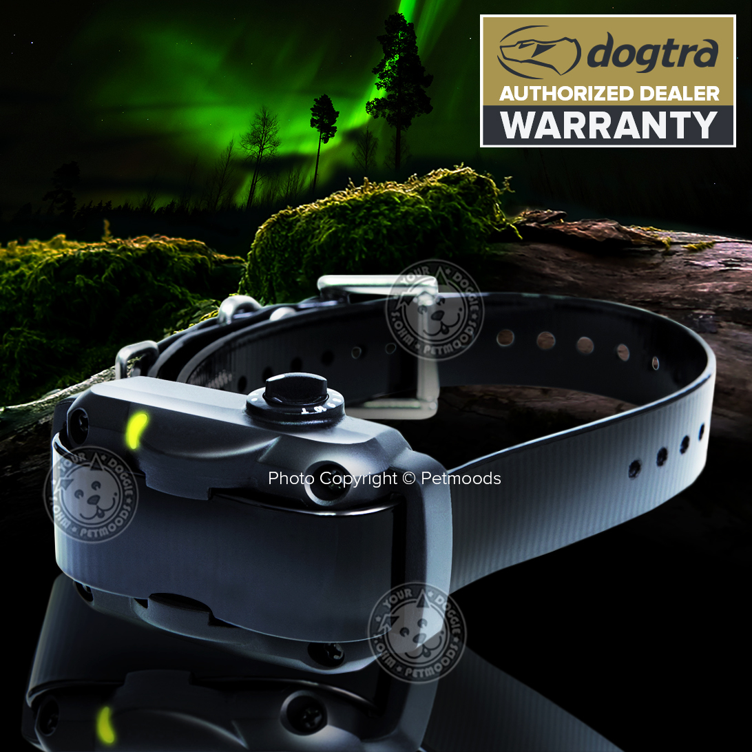 DOGTRA YS600 No Bark Stubborn Dog Collar Barking Control