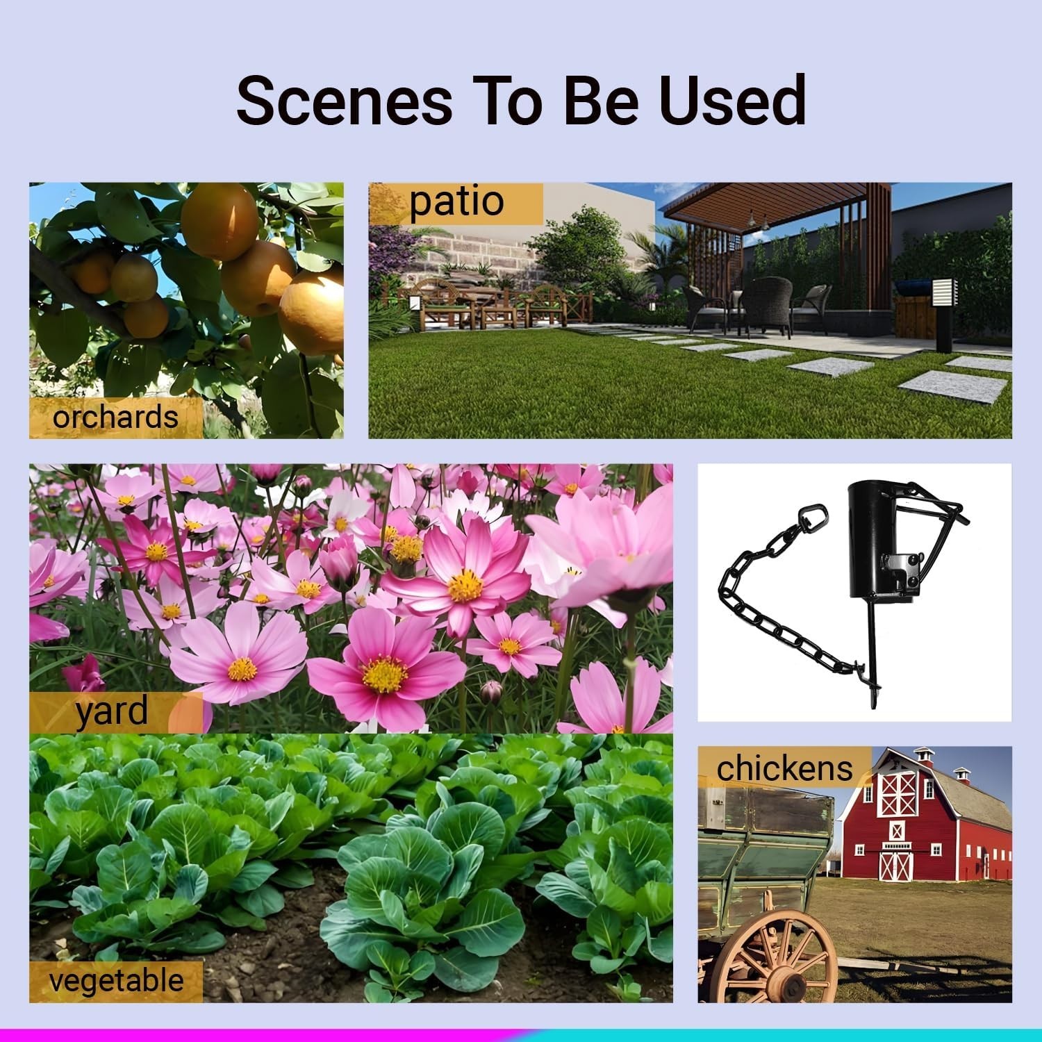 (3 Pack) Dog Proof Raccoon Traps - DP Coon Traps - Back Yard Raccoon Traps