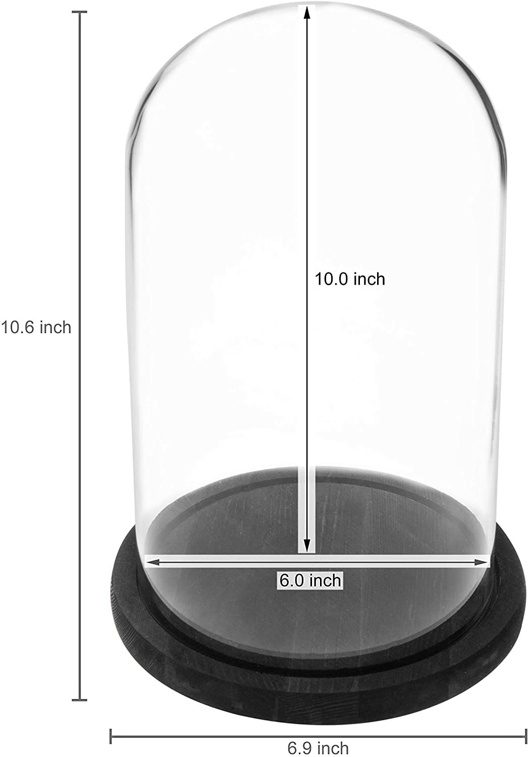 6 x 10 Inches Clear Glass Cloche Bell Jar Display Case w/ Rustic Black Wood Base
