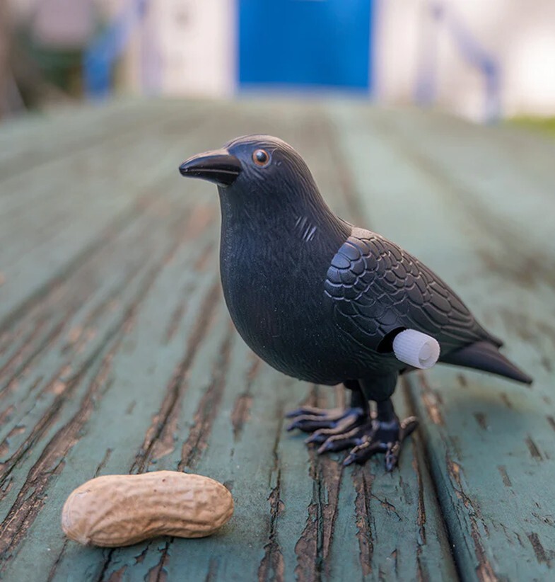 HUGE WIND-UP CRAZY CROW - 5" Tall - Novelty Fun Gag Gift