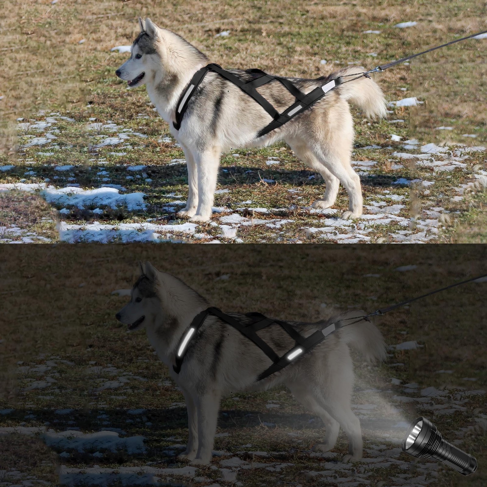 Dog Pulling Harness Reflective X-Back Harness for Sledding Exercise, Canicross S