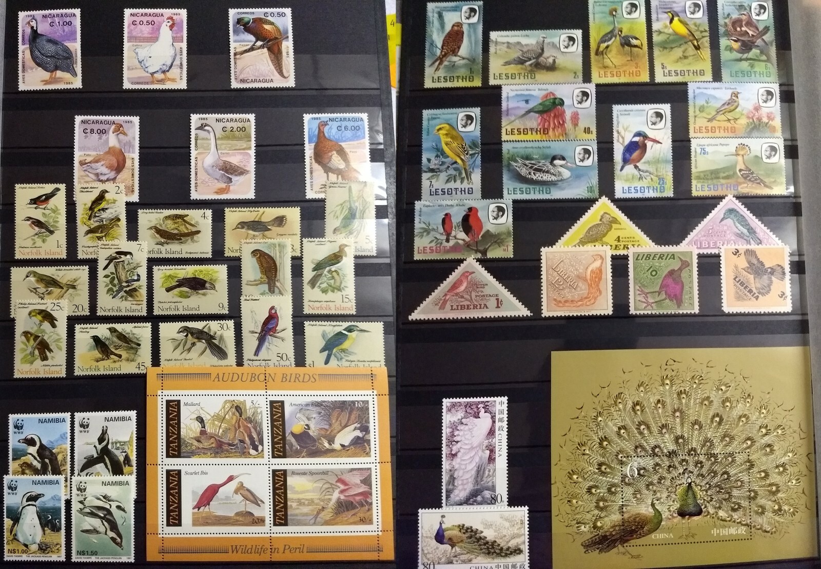 Worldwide Birds Stamp Collection MNH - Each Lot: 15 Full Sets from 15 Countries