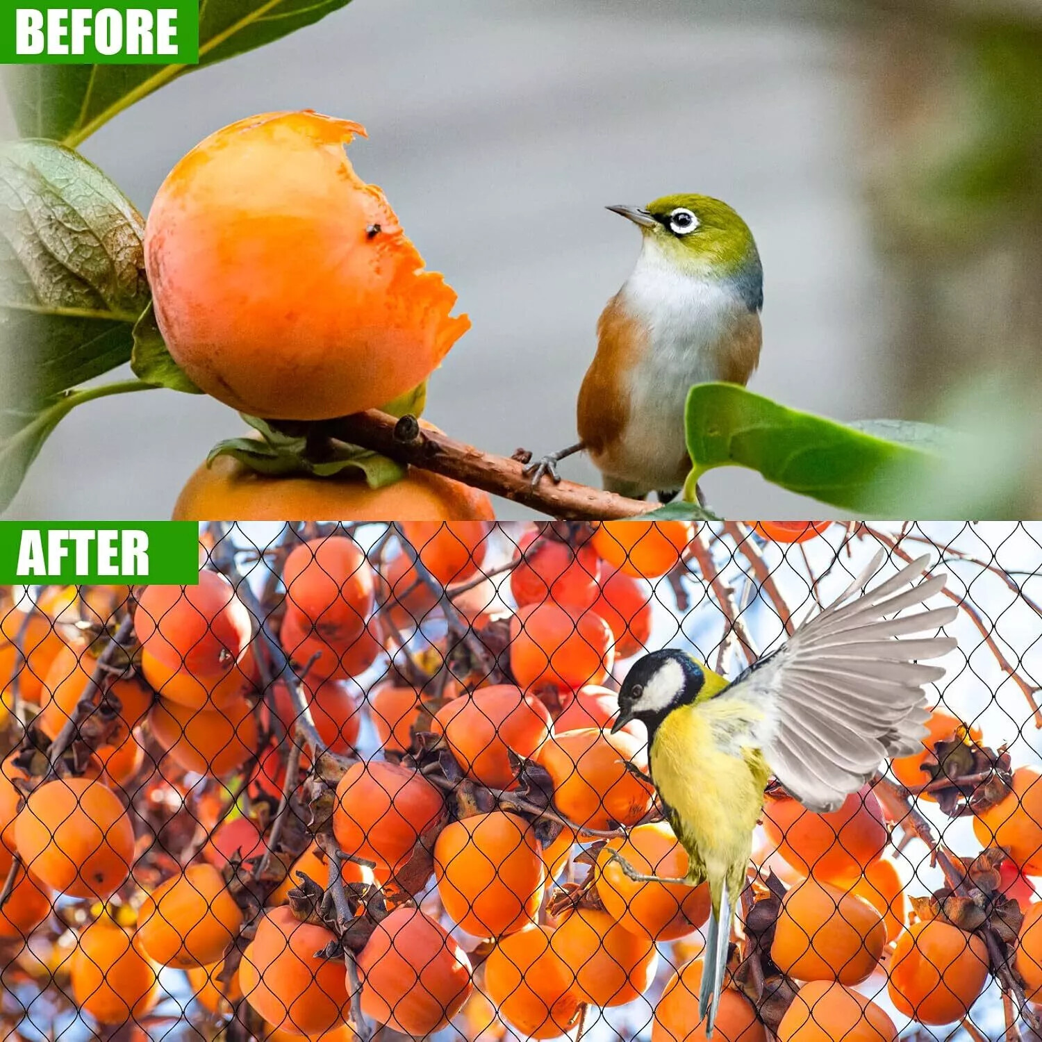 1inch 25'×50' Mesh Anti Bird Netting Garden Net Poultry Aviary Garden Protection